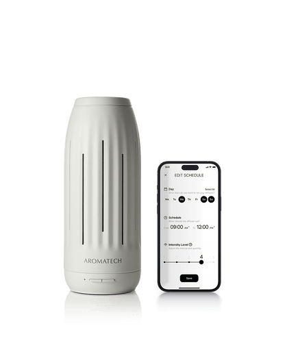 Ambience Mini