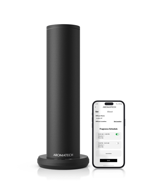 AroMini BT Plus
