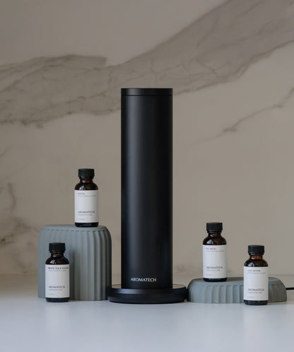 AroMini BT Plus
